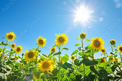 A field of bright yellow sunflowers turning their faces towards the sun  creating a stunning display of color against a clear blue sky  Generative AI