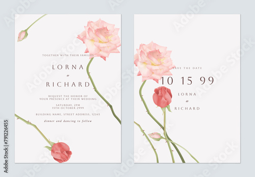 Wedding invitation template, minimalist pink roses on red background © momosama