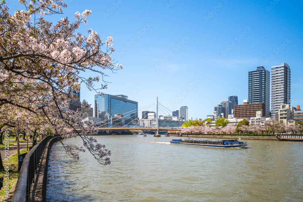Fototapeta premium Kema Sakuranomiya Park and Kawasakibashi bridge with cherry blossom in osaka, japan