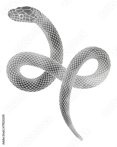年賀状に使える巳年の蛇の水墨画風イラスト