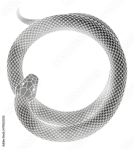 年賀状に使える巳年_とぐろを巻く蛇の水墨画風イラスト