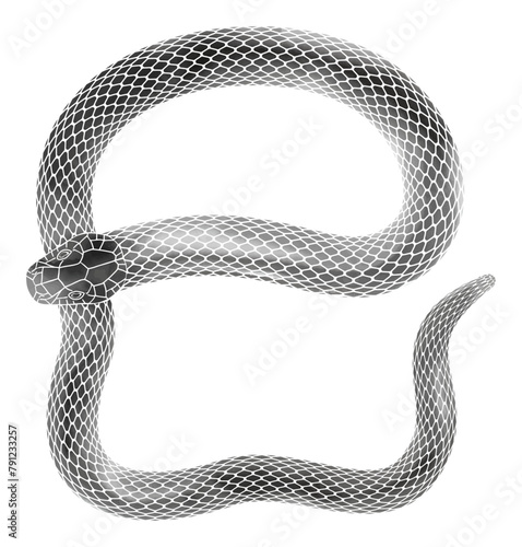 年賀状に使える巳年の蛇の水墨画風イラスト