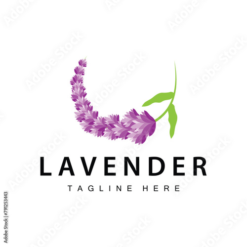 Lavender logo simple design vector cosmetic plant purple color and aromatherapy lavender flower garden template