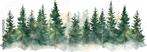 watercolor green pine forest landscape banner