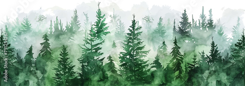 watercolor green pine forest landscape banner