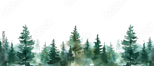 watercolor green pine forest landscape banner photo