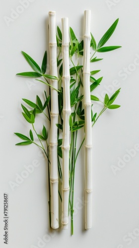 Minimalist Vegan Lifestyle Concept with Asparagus and Bamboo Sticks on White Background for World Vegan Day