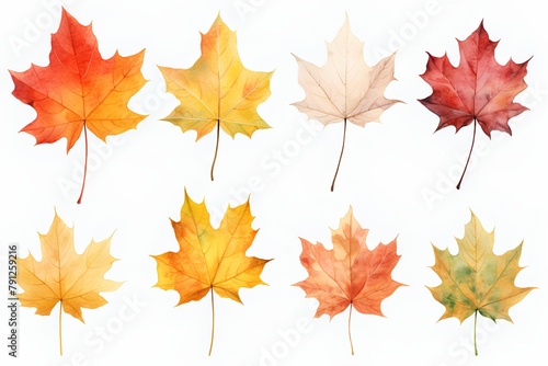 Watercolor autumn maple leaves set isolated on white background. Watercolor illustration.