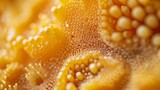 Close-Up of Yellow Sea Sponge Texture. Macro photograph showcasing the intricate texture and pattern of a yellow sea sponge, highlighted by tiny water droplets.