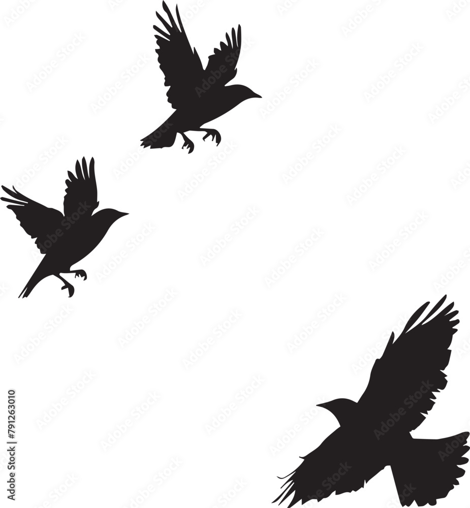 Fototapeta premium set of birds flying