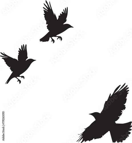 set of birds flying
