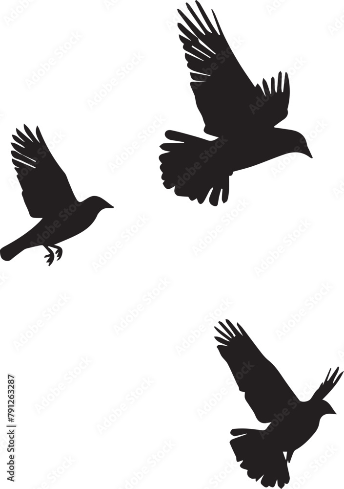 Obraz premium set of silhouettes of birds flying
