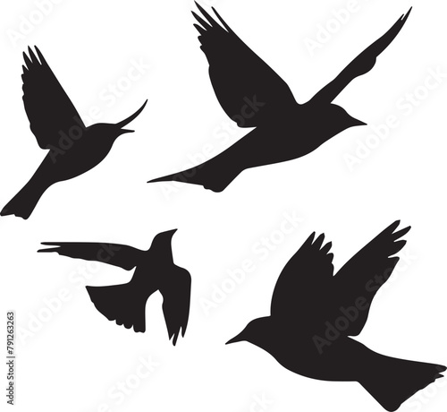 set of silhouettes of birds © Rizwan vector