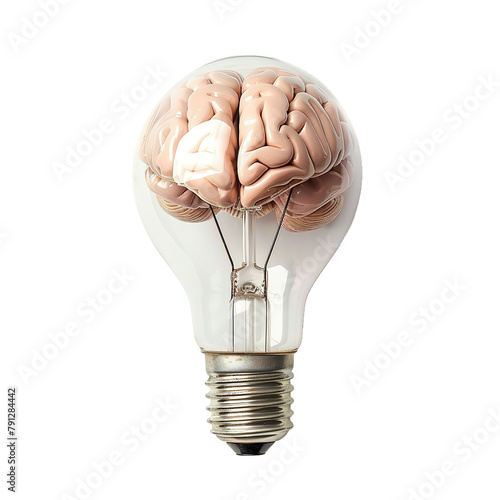 Human brain inside of light bulb, isolated on white background.