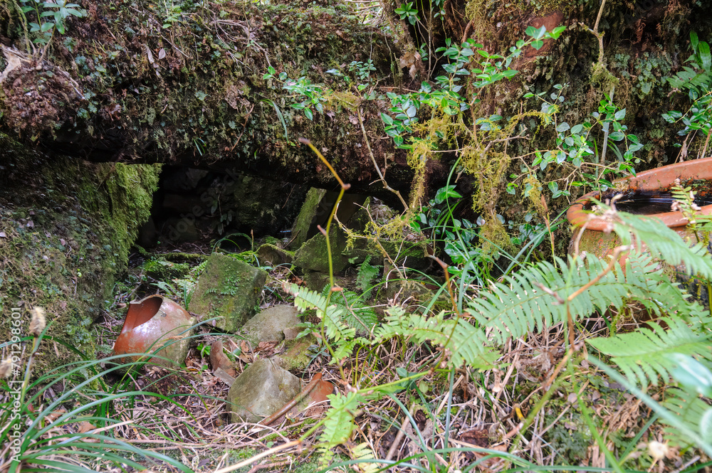 Obraz premium 標高854mの八丈島最高峰、八丈富士の登山トレッキング。 八丈富士の山頂は大きなカルデラになっている。 ジャングルになっているカルデラ内部に降りてゆくことも可能。 中央には聖地の浅間神社があり、巨大なご神木や古びた鳥居、願掛けの岩などが置かれている。 願掛けは八丈島特有の海岸の丸石を広い、願いと名前を記入。山頂の社まで運ぶというもの。航路の終点、太平洋の大きな孤島、八丈島。 東京都伊豆諸島。 