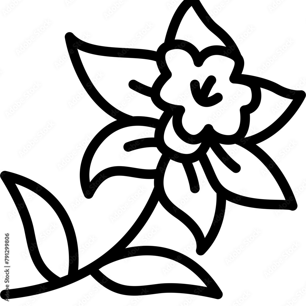 Daffodil Line Icon Daffodil Line Icon