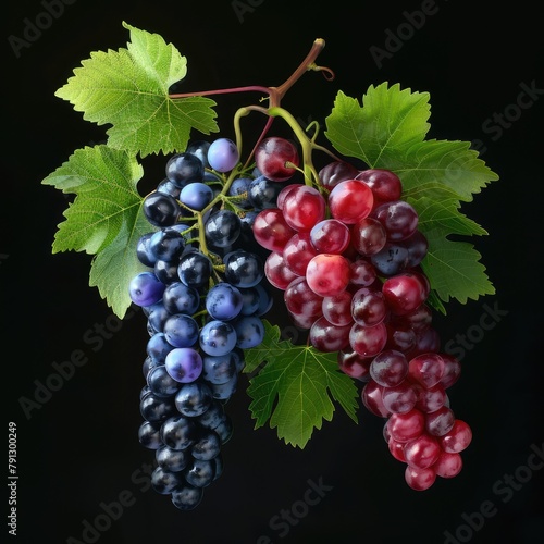 Create an attractive image for my advertising posters. Create a unique realistic composition of bunches of grapes and individual juicy grapes. 