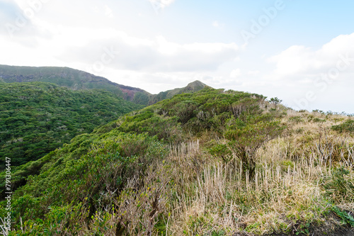 標高854mの八丈島最高峰、八丈富士の登山トレッキング。 八丈富士の山頂は大きなカルデラになっている。 カルデラの縁をぐるりと一周する「お鉢めぐり」をすることができる。 太平洋とカルデラ内部の景色は雄大。 険しい崖の上を歩くので要注意。強風時は立ち入り禁止。航路の終点、太平洋の大きな孤島、八丈島。 東京都伊豆諸島。 2020年撮影。Trekking up the 854-meter-hi