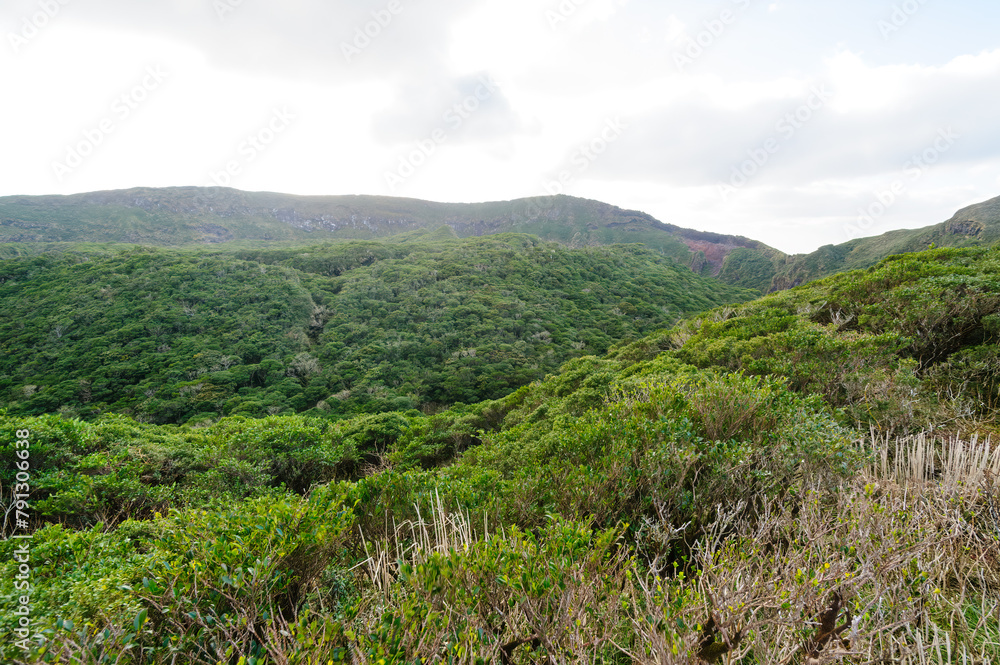 Naklejka premium 標高854mの八丈島最高峰、八丈富士の登山トレッキング。 八丈富士の山頂は大きなカルデラになっている。 カルデラの縁をぐるりと一周する「お鉢めぐり」をすることができる。 太平洋とカルデラ内部の景色は雄大。 険しい崖の上を歩くので要注意。強風時は立ち入り禁止。航路の終点、太平洋の大きな孤島、八丈島。 東京都伊豆諸島。 2020年撮影。Trekking up the 854-meter-hi