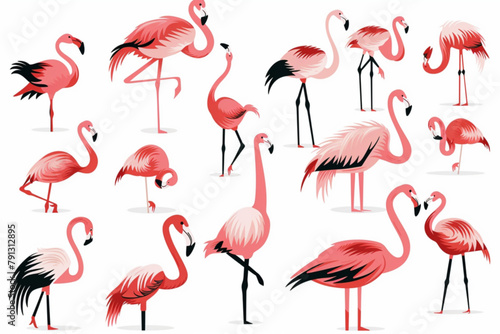 various pink flamingo bird illustration vector icon, white background, black colour icon © Ahtesham
