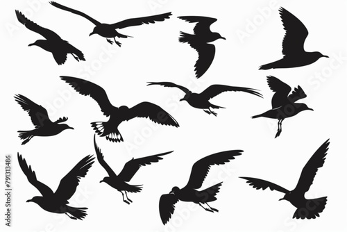 various flying seagull silhouette collection vector icon, white background, black colour icon © Ahtesham