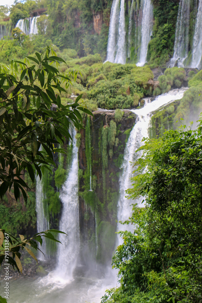 Obraz premium waterfall in the forest