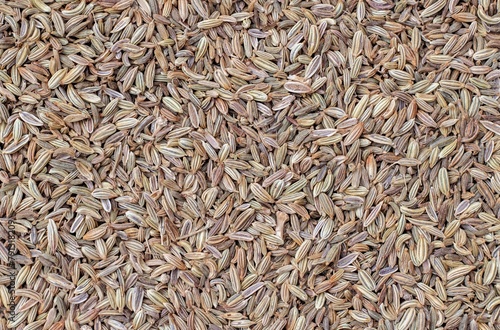 Fennel Seed Background with Copy Space in Horizontal Orientation