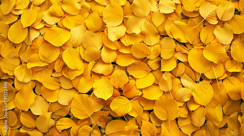 Abstract yellow dry leaf texture pattern, nature background