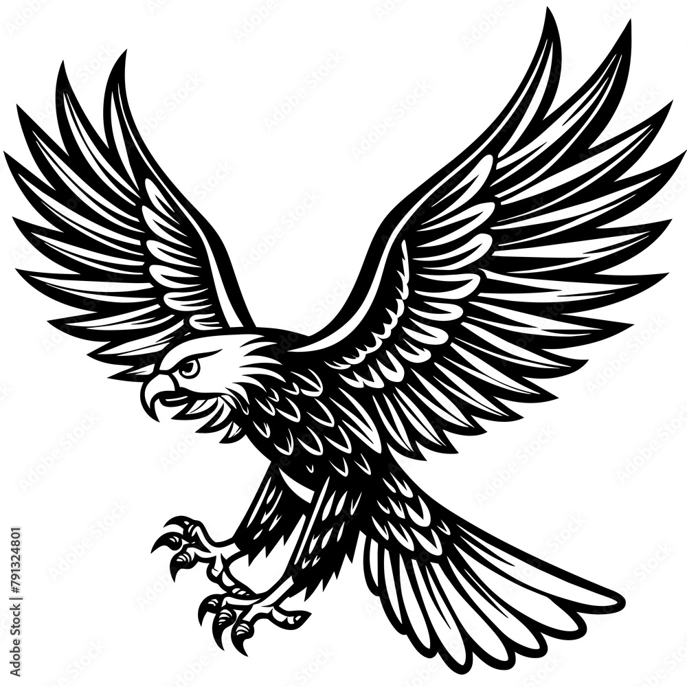 Obraz premium eagle with wings