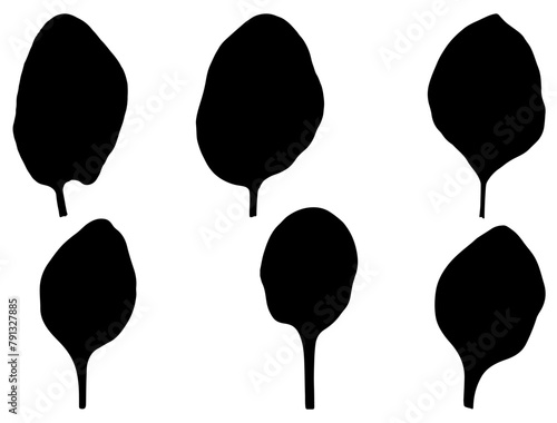 Spinach leaves silhouette vector art