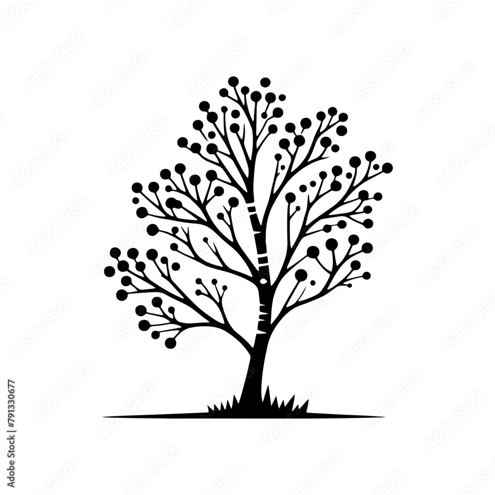 Black Vector Alder Tree Silhouette Against the Sky's Canvas, Nature's Artistry Unveiled- Alder Tree Illustration- Alder Tree vector stock.