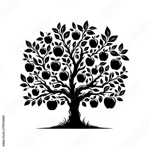  Black Vector Apple Tree Silhouette, a Moonlit Dance of Nature's Bounty- Apple Tree Illustration- Apple Tree Vector Stock.