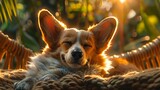 Serene Corgi lounging under palm trees, sunset hues, soft realistic textures, tranquil vibe , hyper realistic