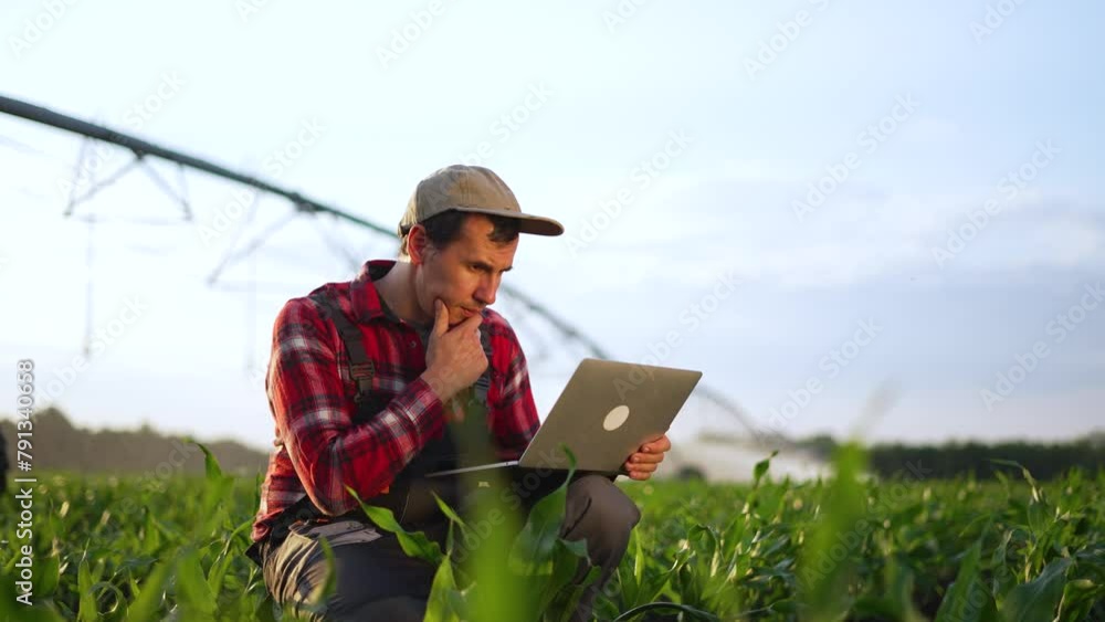 Agriculture.Farmer with laptop in corn field controls operation of plant irrigation system.Farmer examines corn plants at sunset. Operation of irrigation system technology in arid soil. Organic corn Agriculture.Farmer with laptop in corn field controls operation of plant irrigation system.Farmer examines corn plants at sunset. Operation of irrigation system technology in arid soil. Organic corn