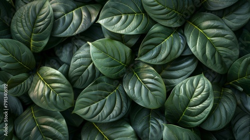 A close up of green leaves with a wet appearance