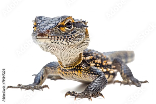 Ackie Monitor isolated on white