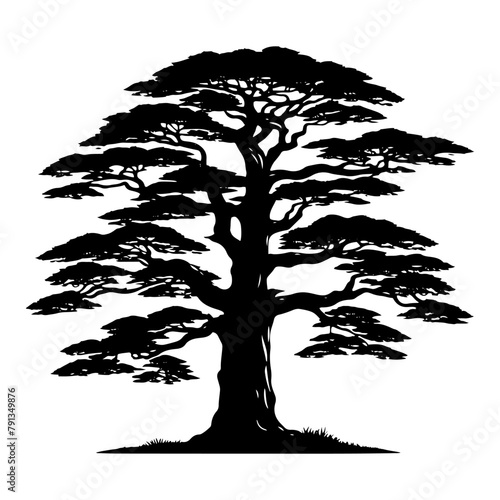 Black Vector Cedar Tree Silhouette, Nature's Sentinel Standing Tall Against Twilight's Embrace- Cedar Tree Illustration- Cedar Tree Vector Stock.