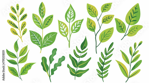 Summer green leaves  vector illustrator Hand drawn s