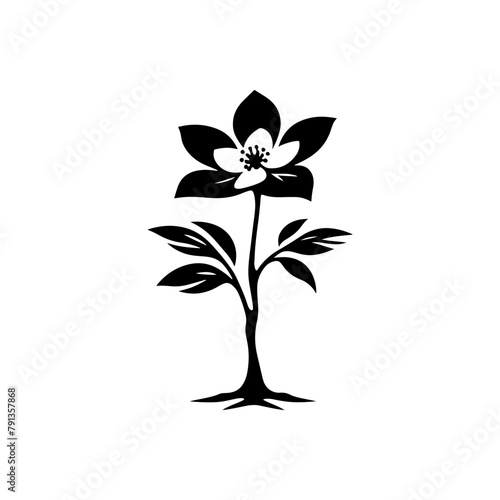 Night's Bloom: Black Vector Dogwood Tree Silhouette, Nature's Floral Tapestry Unveiled Under Moonlight- Dogwood Illustration- Dogwood Vector Stock