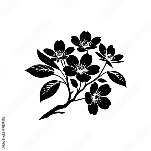 Night's Bloom: Black Vector Dogwood Tree Silhouette, Nature's Floral Tapestry Unveiled Under Moonlight- Dogwood Illustration- Dogwood Vector Stock