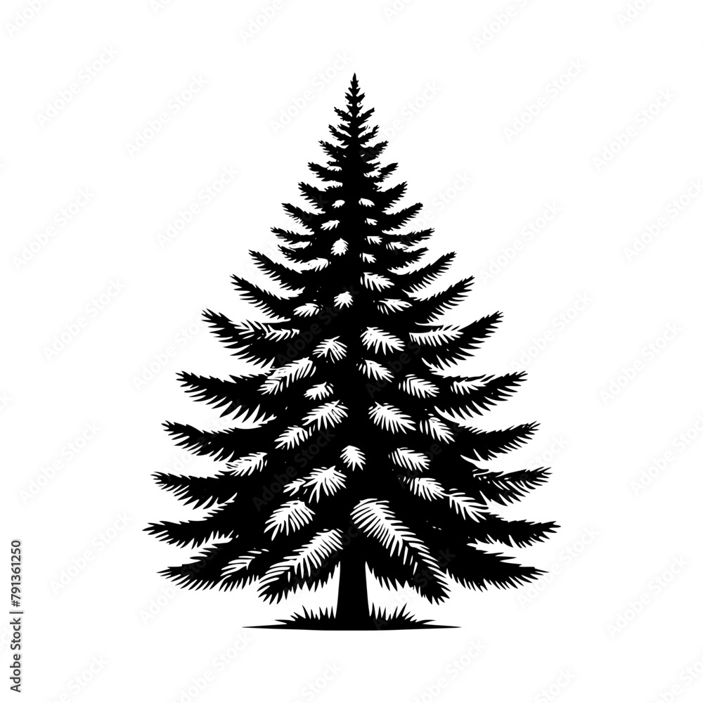 Black Vector Fir Tree Silhouette, Nature's Evergreen Guardians Standing Tall in Darkness- Fir tree Illustration- Fir tree vector stock. Black Vector Fir Tree Silhouette, Nature's Evergreen Guardians Standing Tall in Darkness- Fir tree Illustration- Fir tree vector stock.