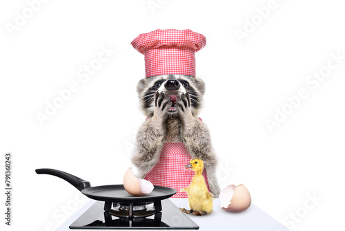 Surprised raccoon cook standing in front of the kitchen table on which sits a duckling hatched from an egg isolated on white background