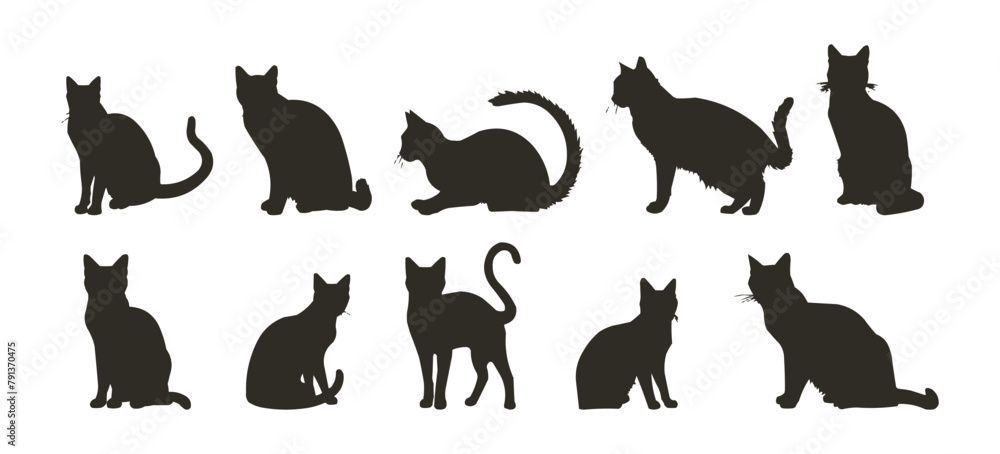 Collection of cat silhouettes in various poses isolated on background