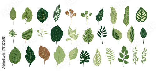 Collection of tropical leaves. Flat isolated elements on a white background. Vector illustration