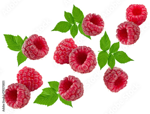 flying ripe raspberries with green leaves isolated on white background. clipping path