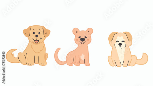 Dogs breeds golden retriever shiba inu Toy puppy and