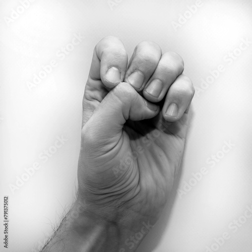 Letter E in American Sign Language (ASL) for deaf people, black and white monochrome photo of a hand