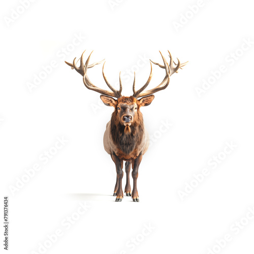 Large Elk Standing Next to White Wall. Generative AI