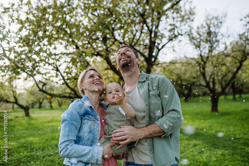 New parents holding small toddler, looking at falling petals from tree. Family time outdoors in spring nature. Older First-time parents. © Halfpoint