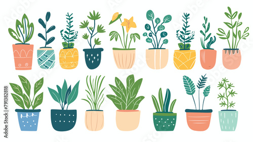 Hand drawn Houseplants in plant pots. Home potted pla photo